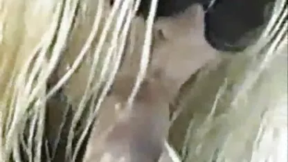 Ele observa sexo bizarro caseiro que a loira russa calmamente pegou os parafusos do macho saudável