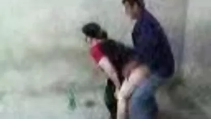 Homens adultos atrair magro estudantes com frutos corno caseiro do mar