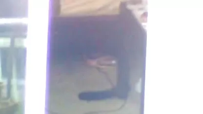 Adolescente menina em meias sexo caseiro grátis Tendo diversão com strapon rubber